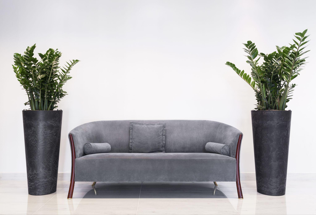 How to Choose the Perfect Sofa for Your Living Room in Singapore