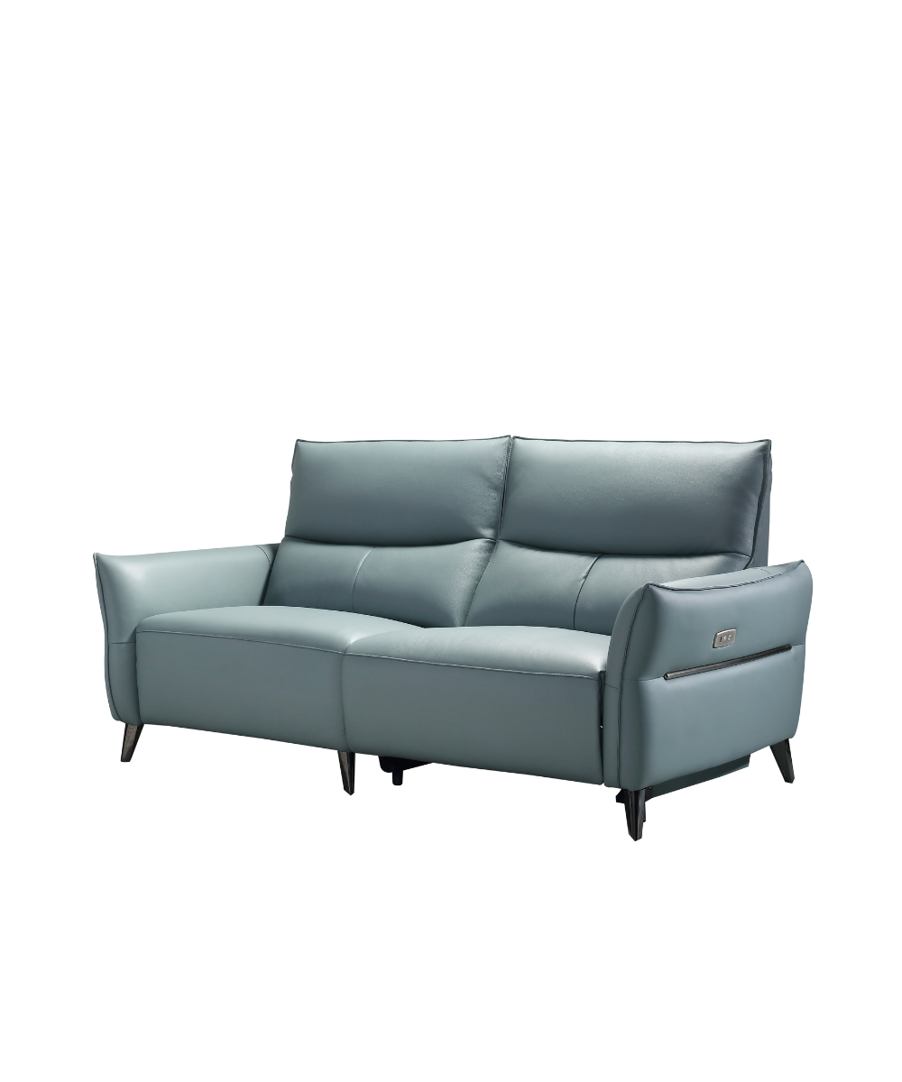 Cesare Premium Leather Electric Recliner
