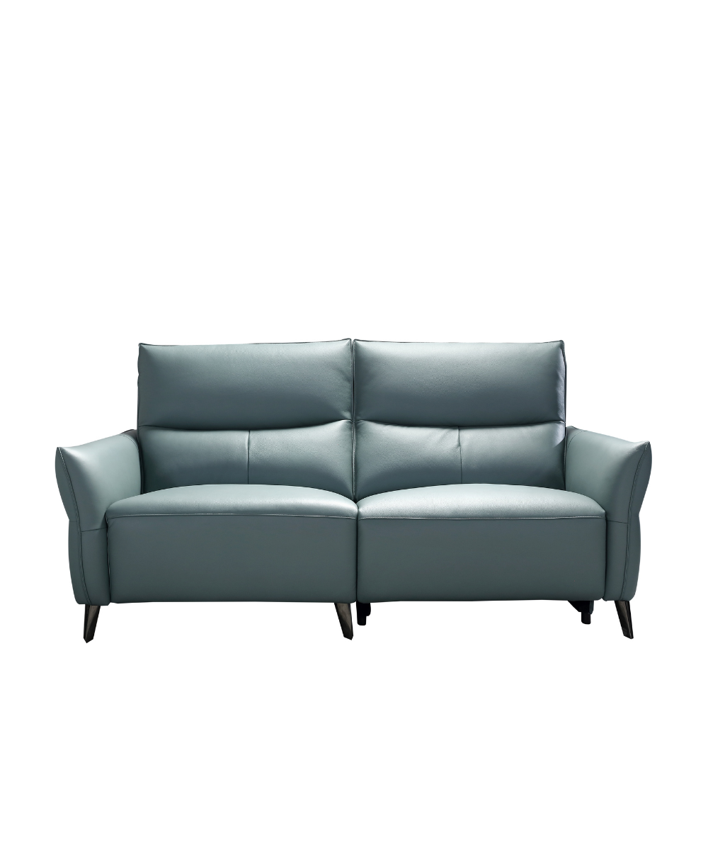 Cesare Premium Leather Electric Recliner