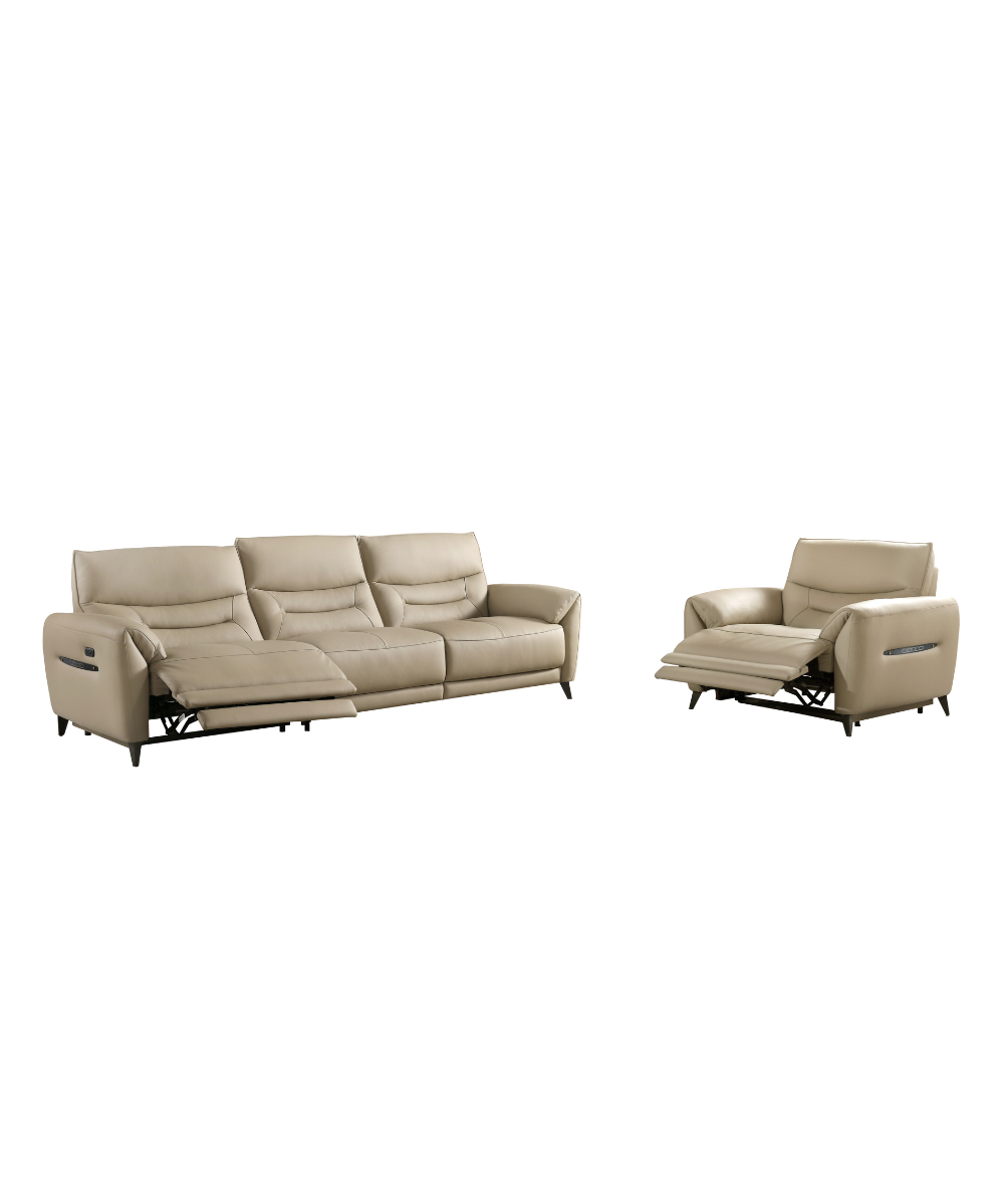 Dionne Premium Leather Electric Recliner